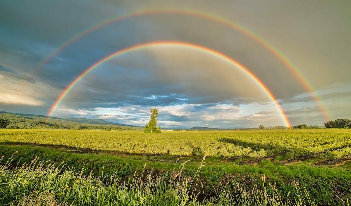 Der Regenbogen - ein Kennzeichen der Präsenz unseres Gottes?